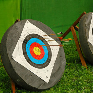 Archery targets with bows